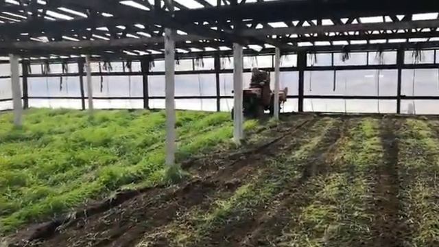 Кубота В5000 минитрактор. смотреть онлайн