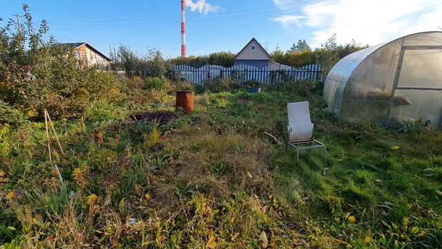 ДАЧА смотреть онлайн