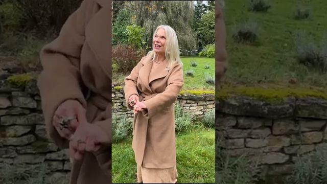 ЦВЕТ УСПЕХА И УДАЧИ, ПОЗИТИВА РАДОСТИ И СЧАСТЬЯ ЖЕЛТЫЙ смотреть онлайн