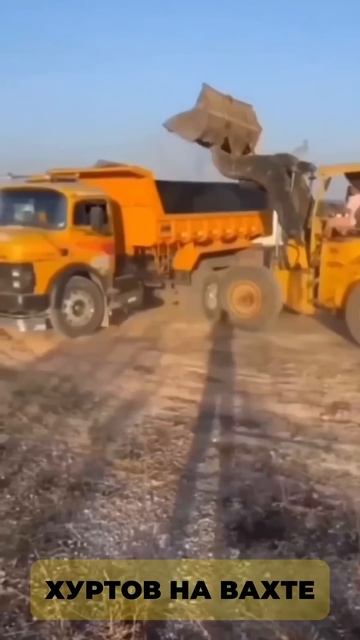 На вахте 👷♂️ день #92 #вахта #стройка #юмор #техникабезопасности #ремонт смотреть онлайн