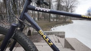 SHULZ Morning Train To Vyborg ОБЗОР