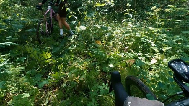 Юг Ленобласти: лес, аисты, плотины. На велосипеде | 13.07.20