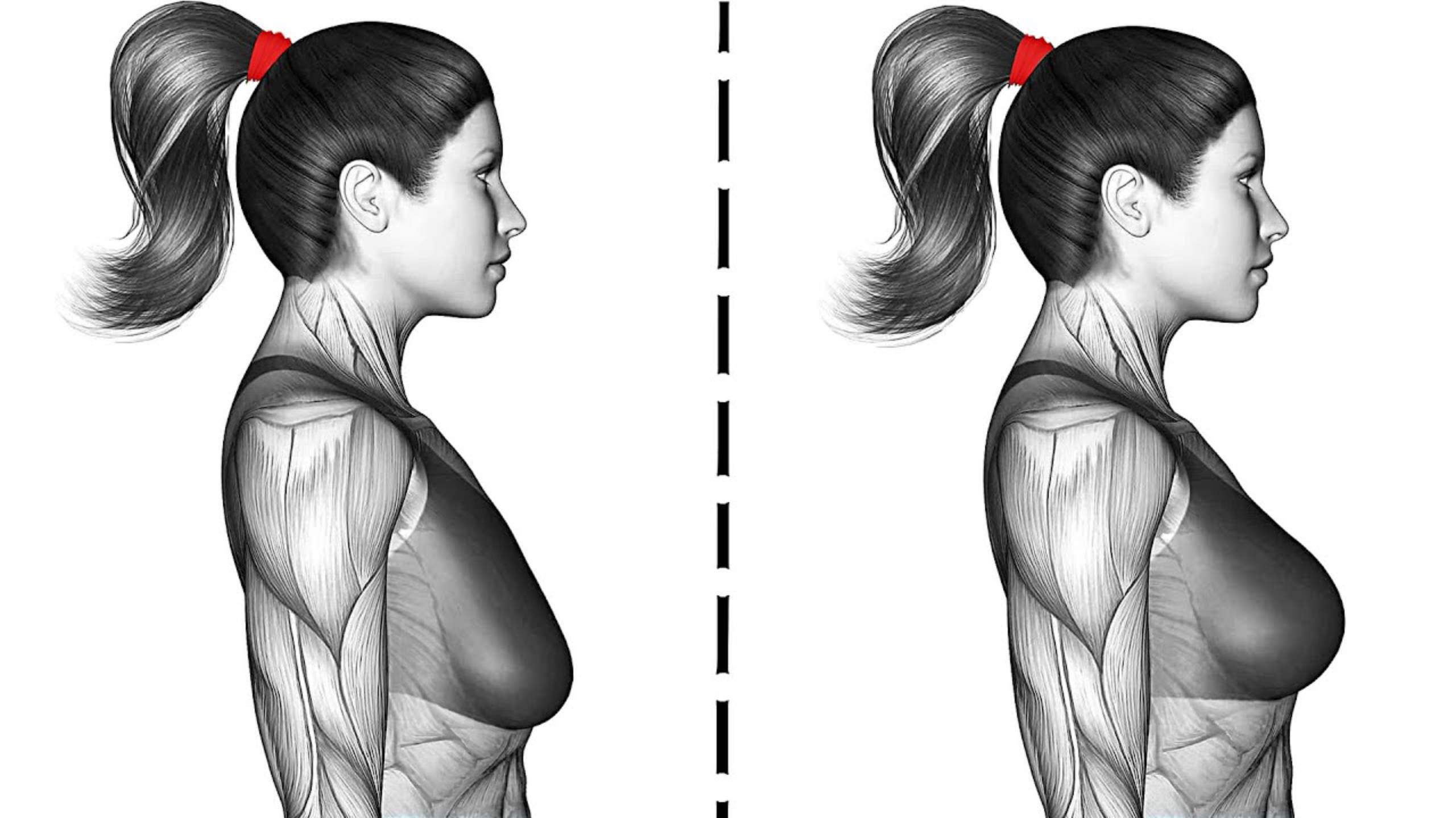 Лучшая Тренировка Отжиманий для Груди без оборудования смотреть онлайн