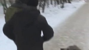 Иди убирай свое говно с крыльца | Знаменитый баян интернета | Эпичная фраза