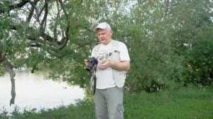 Nikon D3400 Обзор, примеры фото