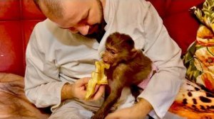 Доктор Василий приехал посмотреть что случилось с челюстью у маленькой Тоси.