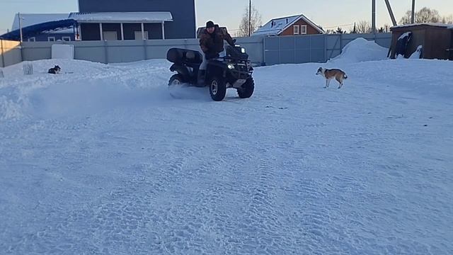 cfmoto х6 по участку