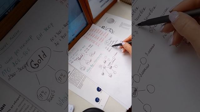 Маркетинг план Essens #маркетинг #essens