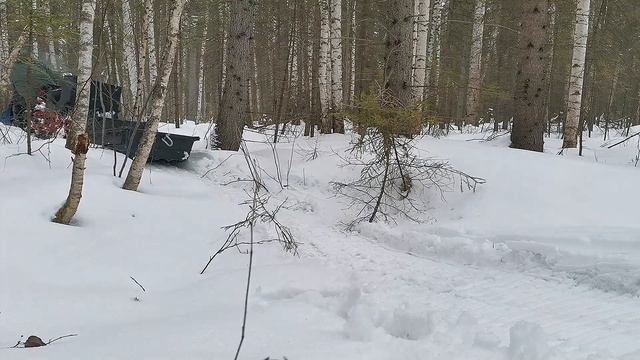 Прогулка по лесу на мотобуксировщике. Обеденный перек смотреть онлайн