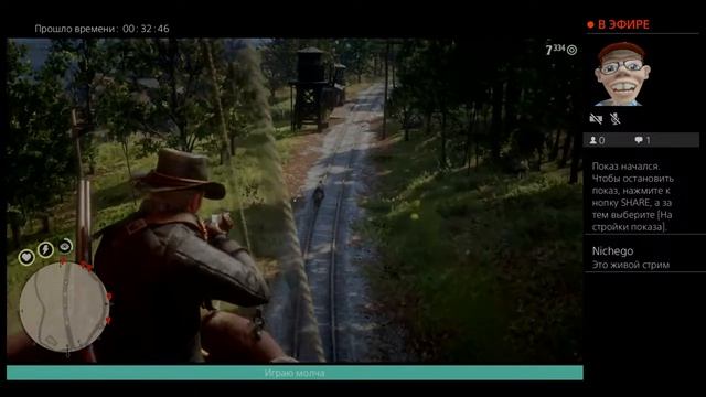 Играю на PS4 RDR2