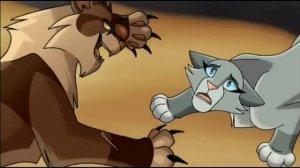 коты воители клип зеркало 🌃🖤🍷