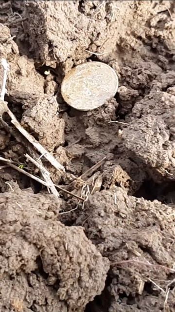 Металлокоп 2023. Интересные находки с металлоискателем смотреть онлайн