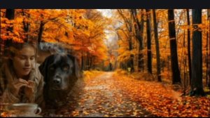 Осенняя прогулка