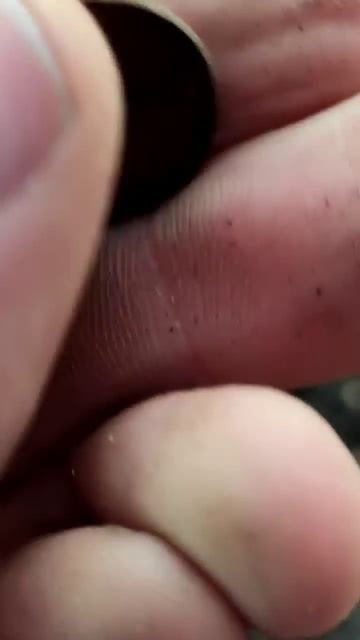 Нашёл советскую монету в лесу с металлоискателем #коп смотреть онлайн