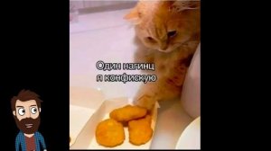 Приколы! ХОЗЯИН стал ЗОМБИ! Смешные видео - Доми шоу!