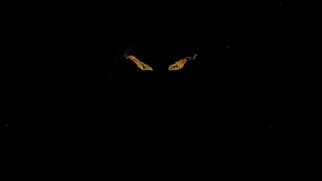 Альбом битов Dark