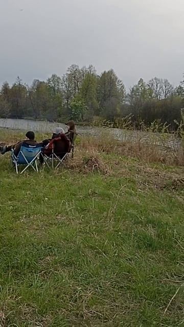 Палаточный лагерь - Урал 2025 смотреть онлайн