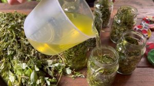 Масло чистотела рецепт