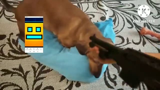 Подушка 0: Дробовик