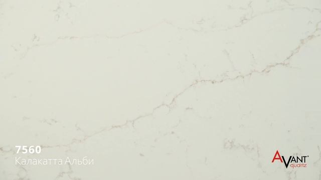 AVANT Quartz 7560 Калакатта Альби