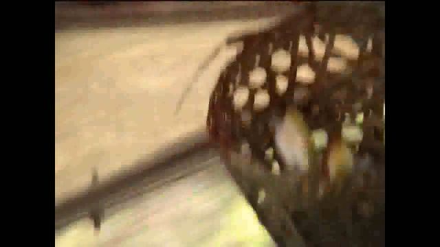 Обмани, но останься Фильм Марины Мягковой - Непал Индия 2006 смотреть онлайн