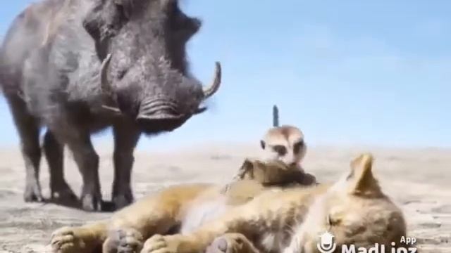 Казахский прикол про Баху. :) смотреть онлайн