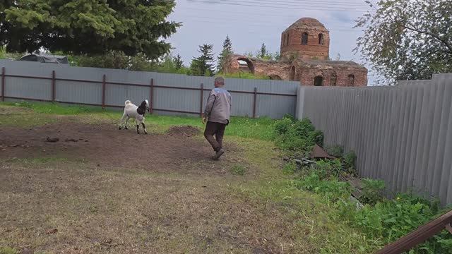 Все по расписанию. смотреть онлайн