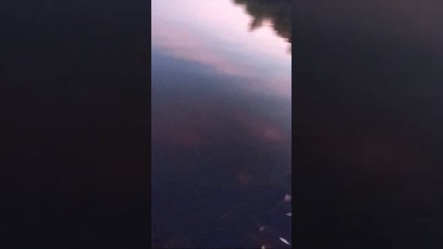 Мыть велик и домой. Казань 7.09.24