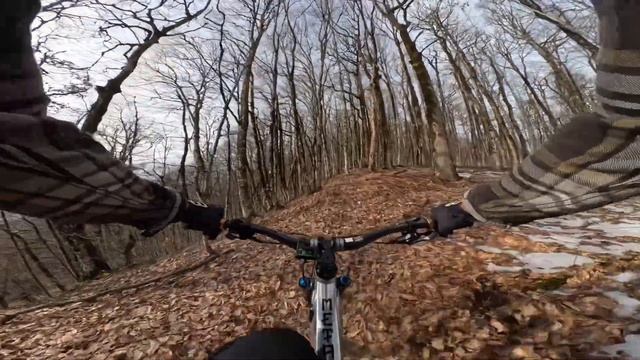 23.1.25 Купил билет на концерт Лепса в Роза Холл и сходил ?