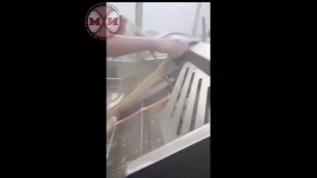 Линия обработки черевы КРС автомат BW-MCB