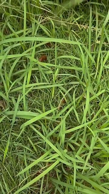 Ніж-брелок складаний смотреть онлайн