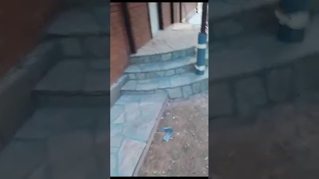 песчаник смотреть онлайн