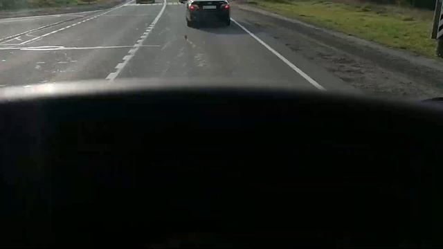 Олени на дорогах смотреть онлайн