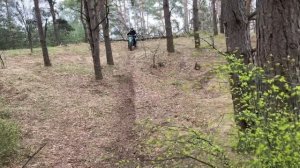 Обкатываю новый эндуро мотоцикл Rockot R5. по лесу в первы?