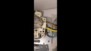 Замена вилки и розетки бойлера. Сильное оплавление из-