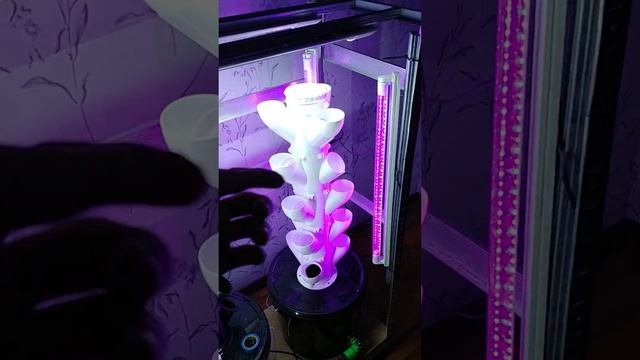 ☘️30 шт Вертикальная гидропоника собираю стеллаж смотреть онлайн