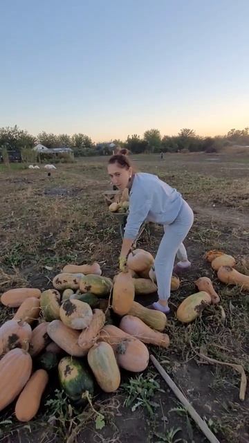 #shorts МУЖ меня обманул #shorts #приколы #прикол #деревня #семейныйканал #лайк смотреть онлайн