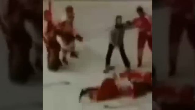 Шайбу шайбу ! 1987 и 2008.