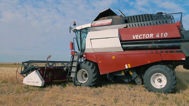 Осенью на полях во время уборочной...