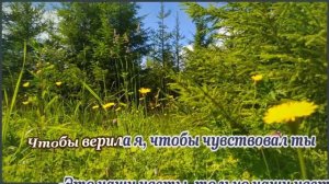 Л .Сенчина-  Полевые цветы-  караоке