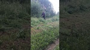 лучшая бензокоса Варяг бт-4320т испытание