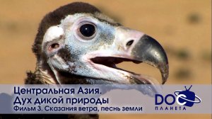 Центральная Азия.Дух дикой природы - Фильм 3. Сказания ветра, песнь земли - Документальный фильм