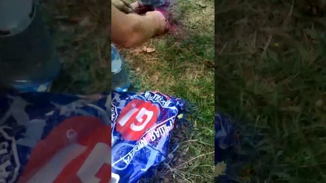 Грибная игра!! :) смотреть онлайн