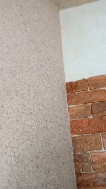 Жидкие обои Караганда смотреть онлайн