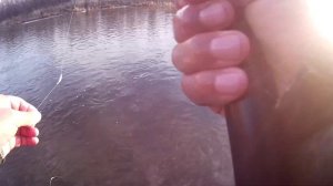 Речка Куда 2 часа рыбалки