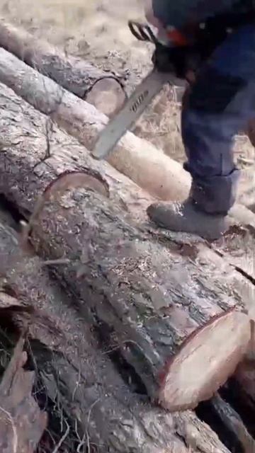 ZimAni MS361 отлично проявляет себя в работе!🔥 Клиент дово? смотреть онлайн