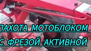 Мотоблок МТЗ с активной  фрезой пахота земли