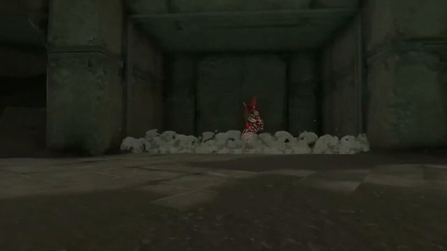 ВСЕ ЛЕВРЫ ЗА РАЗ(Это мой 2 аккаунт) #nintendo #zeldatearsofthekingdom #зельда #zelda #totk