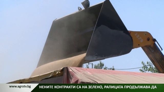 Борсова информация: Американската пшеница отчете сер?