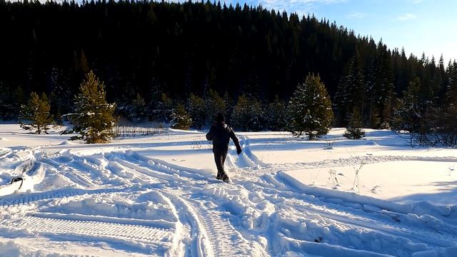 Покатушки СМ- 001 Лончин 30, Лифан -20,  Тайга Варяг -550. Кому